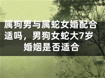属狗男与属蛇女婚配合适吗，男狗女蛇大7岁婚姻是否适合
