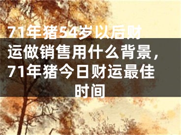 71年猪54岁以后财运做销售用什么背景，71年猪今日财运最佳时间