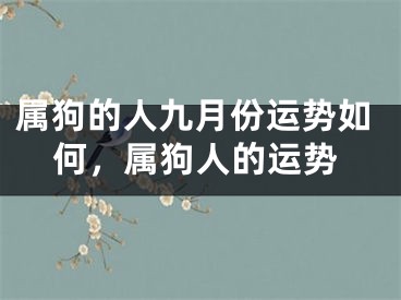 属狗的人九月份运势如何，属狗人的运势