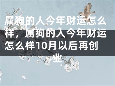 属狗的人今年财运怎么样，属狗的人今年财运怎么样10月以后再创业