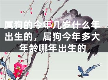 属狗的今年几岁什么年出生的，属狗今年多大年龄哪年出生的