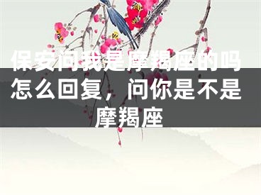 保安问我是摩羯座的吗怎么回复，问你是不是摩羯座