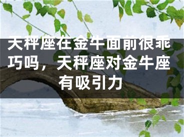 天秤座在金牛面前很乖巧吗，天秤座对金牛座有吸引力