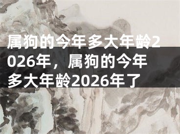 属狗的今年多大年龄2026年，属狗的今年多大年龄2026年了