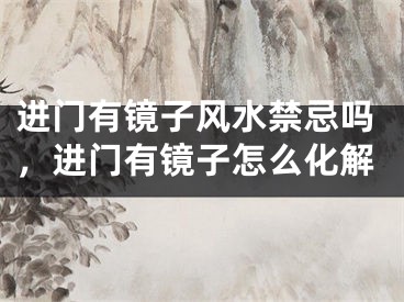 进门有镜子风水禁忌吗，进门有镜子怎么化解