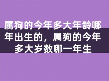 属狗的今年多大年龄哪年出生的，属狗的今年多大岁数哪一年生