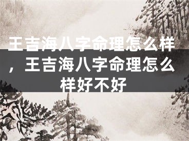 王吉海八字命理怎么样，王吉海八字命理怎么样好不好