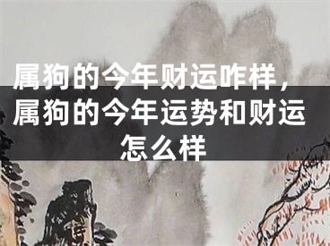 属狗的今年财运咋样，属狗的今年运势和财运怎么样