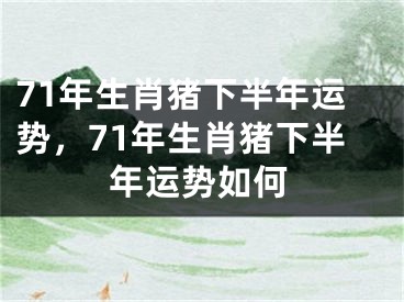 71年生肖猪下半年运势,71年生肖猪下半年运势如何