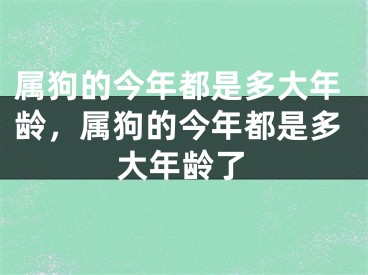 属狗的今年都是多大年龄，属狗的今年都是多大年龄了