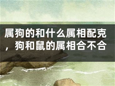 属狗的和什么属相配克，狗和鼠的属相合不合