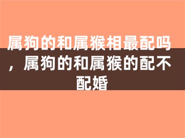 属狗的和属猴相最配吗，属狗的和属猴的配不配婚