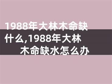 1988年大林木命缺什么,1988年大林木命缺水怎么办