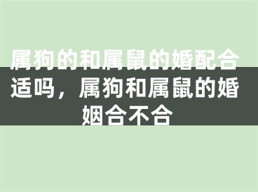 属狗的和属鼠的婚配合适吗，属狗和属鼠的婚姻合不合