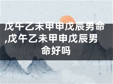戊午乙未甲申戊辰男命,戊午乙未甲申戊辰男命好吗