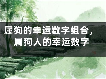 属狗的幸运数字组合，属狗人的幸运数字