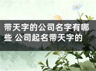 带天字的公司名字有哪些 公司起名带天字的