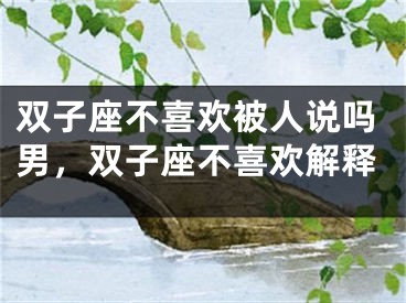 双子座不喜欢被人说吗男，双子座不喜欢解释
