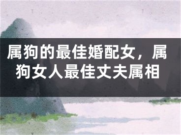 属狗的最佳婚配女,属狗女人最佳丈夫属相