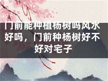 门前能种植杨树吗风水好吗，门前种杨树好不好对宅子