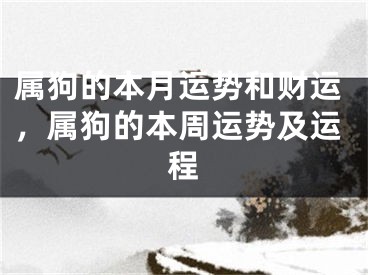 属狗的本月运势和财运，属狗的本周运势及运程