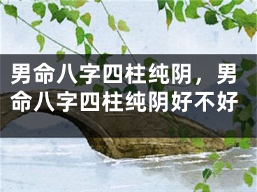 男命八字四柱纯阴，男命八字四柱纯阴好不好