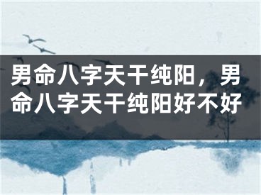 男命八字天干纯阳，男命八字天干纯阳好不好