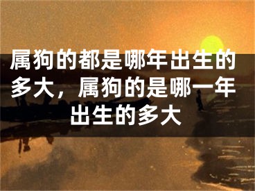 属狗的都是哪年出生的多大，属狗的是哪一年出生的多大