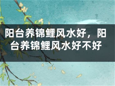 阳台养锦鲤风水好，阳台养锦鲤风水好不好
