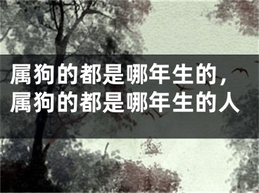 属狗的都是哪年生的，属狗的都是哪年生的人