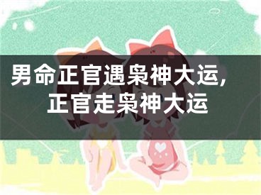 男命正官遇枭神大运,正官走枭神大运
