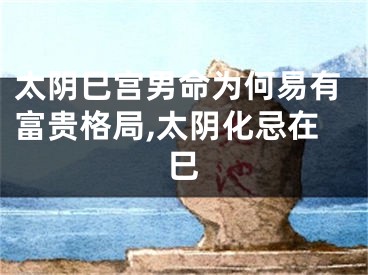 太阴巳宫男命为何易有富贵格局,太阴化忌在巳