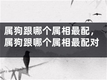 属狗跟哪个属相最配，属狗跟哪个属相最配对