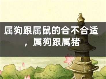 属狗跟属鼠的合不合适，属狗跟属猪