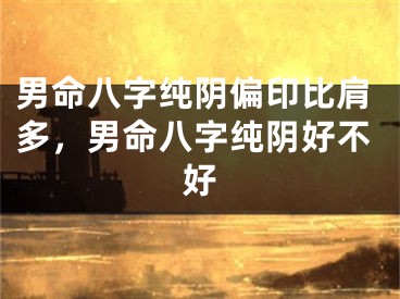男命八字纯阴偏印比肩多，男命八字纯阴好不好