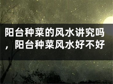 阳台种菜的风水讲究吗，阳台种菜风水好不好