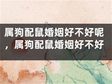 属狗配鼠婚姻好不好呢，属狗配鼠婚姻好不好