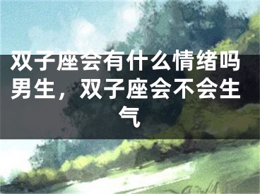 双子座会有什么情绪吗男生，双子座会不会生气