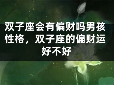 双子座会有偏财吗男孩性格，双子座的偏财运好不好