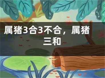 属猪3合3不合，属猪三和