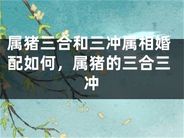 属猪三合和三冲属相婚配如何，属猪的三合三冲