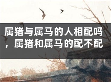 属猪与属马的人相配吗，属猪和属马的配不配