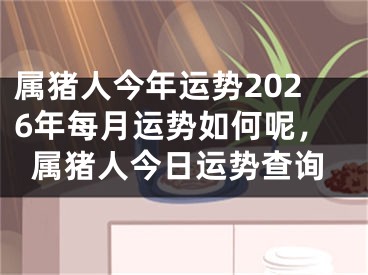 属猪人今年运势2026年每月运势如何呢，属猪人今日运势查询