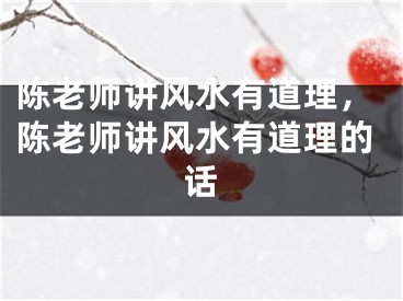陈老师讲风水有道理，陈老师讲风水有道理的话
