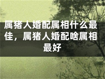 属猪人婚配属相什么最佳，属猪人婚配啥属相最好