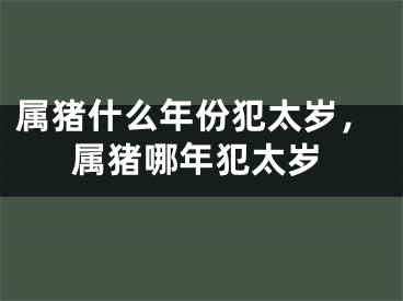 属猪什么年份犯太岁，属猪哪年犯太岁