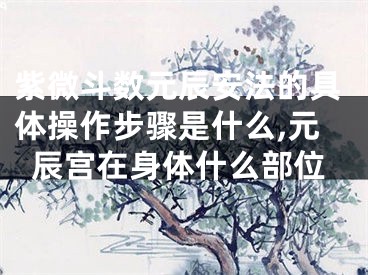 紫微斗数元辰安法的具体操作步骤是什么,元辰宫在身体什么部位