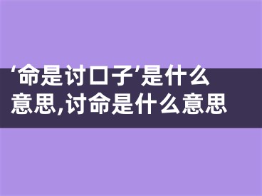 ‘命是讨口子’是什么意思,讨命是什么意思