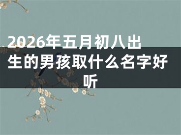 2026年五月初八出生的男孩取什么名字好听