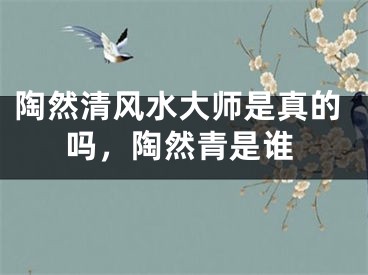 陶然清风水大师是真的吗，陶然青是谁